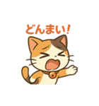 元気いっぱい♪三毛猫ミケたん（個別スタンプ：24）