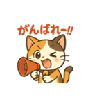 元気いっぱい♪三毛猫ミケたん（個別スタンプ：30）