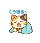 元気いっぱい♪三毛猫ミケたん（個別スタンプ：34）