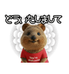 クオッカのきもち 幸せスタンプ（個別スタンプ：13）