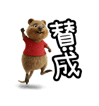 クオッカのきもち 幸せスタンプ（個別スタンプ：17）