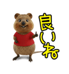 クオッカのきもち 幸せスタンプ（個別スタンプ：19）