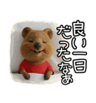 クオッカのきもち 幸せスタンプ（個別スタンプ：39）