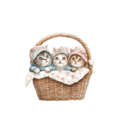 ビンテージ水彩画のねこ(文字なし)BIG（個別スタンプ：27）