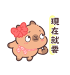 恋人カピバラの可愛い対話とふれあい（個別スタンプ：12）