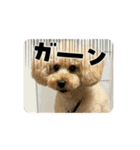 さくらとお友達たち（個別スタンプ：2）