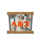 さくらとお友達たち（個別スタンプ：4）