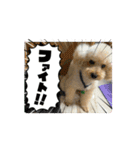 さくらとお友達たち（個別スタンプ：5）