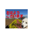 さくらとお友達たち（個別スタンプ：8）