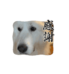さくらとお友達たち（個別スタンプ：10）