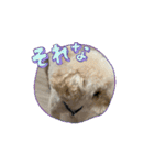 さくらとお友達たち（個別スタンプ：11）