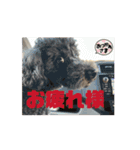 さくらとお友達たち（個別スタンプ：12）