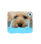 さくらとお友達たち（個別スタンプ：14）