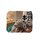 7ヶ月の律くん（個別スタンプ：14）