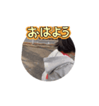 動く！松川家（個別スタンプ：3）