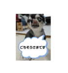 ニカ16歳頑張ります（個別スタンプ：9）