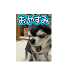 ニカ16歳頑張ります（個別スタンプ：10）