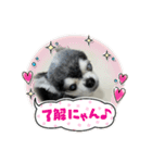 ニカ16歳頑張ります（個別スタンプ：14）