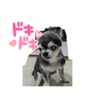 ニカ16歳頑張ります（個別スタンプ：16）