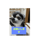 ニカ16歳頑張ります（個別スタンプ：18）