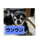 ニカ16歳頑張ります（個別スタンプ：19）