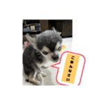 ニカ16歳頑張ります（個別スタンプ：21）