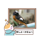 ハナ作成7（個別スタンプ：8）