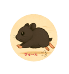 黒ハムらおんの日常（個別スタンプ：11）