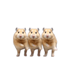 ハムスターが動きます（個別スタンプ：5）