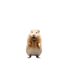 ハムスターが動きます（個別スタンプ：19）