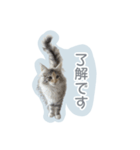 ＃ちるるとCHILL（個別スタンプ：4）