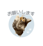 ＃ちるるとCHILL（個別スタンプ：5）