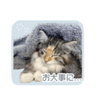 ＃ちるるとCHILL（個別スタンプ：6）
