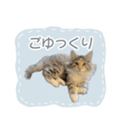 ＃ちるるとCHILL（個別スタンプ：7）