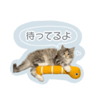＃ちるるとCHILL（個別スタンプ：8）