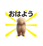 動く▶️犬★お尻がいっぱい‼癒しのおしり（個別スタンプ：1）