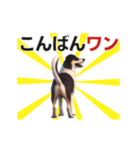 動く▶️犬★お尻がいっぱい‼癒しのおしり（個別スタンプ：3）