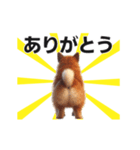 動く▶️犬★お尻がいっぱい‼癒しのおしり（個別スタンプ：6）