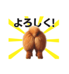 動く▶️犬★お尻がいっぱい‼癒しのおしり（個別スタンプ：7）