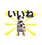 動く▶️犬★お尻がいっぱい‼癒しのおしり（個別スタンプ：9）