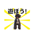 動く▶️犬★お尻がいっぱい‼癒しのおしり（個別スタンプ：12）