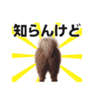 動く▶️犬★お尻がいっぱい‼癒しのおしり（個別スタンプ：16）