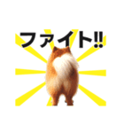 動く▶️犬★お尻がいっぱい‼癒しのおしり（個別スタンプ：17）