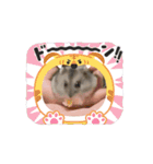 りんりんのハムスタースタンプ（個別スタンプ：3）