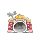 りんりんのハムスタースタンプ（個別スタンプ：12）
