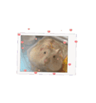 りんりんのハムスタースタンプ（個別スタンプ：14）