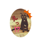 のらにゃんこVer.1（個別スタンプ：1）