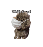 トイプードルとミニチュアダックス（個別スタンプ：8）