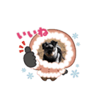 愛犬シュナウザームック（個別スタンプ：2）