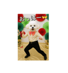 のりのりトイプー（個別スタンプ：7）